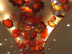 -南海渔村(珠江新城店)