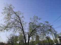 -北京石刻艺术博物馆(五塔寺)