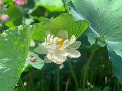 -廊坊文化艺术中心