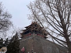 -东华门大街小区