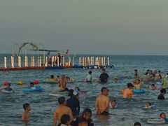 -日照海滨国家森林公园
