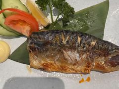 -禾绿寿司·定食·拉面·烧炸(宝安大仟里店)