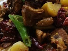 -巴依老爷新疆美食(望京小街店)