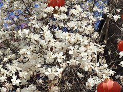 -天津盘山风景名胜区