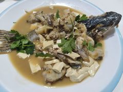 -煲来饱去冷水鱼