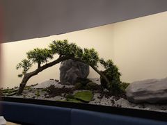 -点心传说·粤菜点心(佐阾虹湾店)