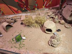-正佳雨林生态植物园