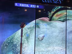 -温莎KTV(国贸店)