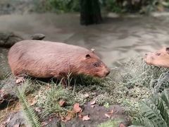 -武汉园博园(武汉自然博物馆)