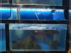 水产区-九佰碗家常菜(华威桥店)