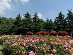 -郑州植物园