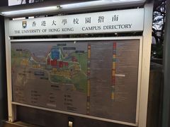 -香港大学
