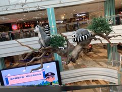 -大族广场Mall&More