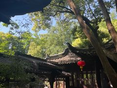 -赭山公园