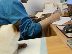 -pd派德宠物中心医院24H急重症·眼科中心·血液透析中心(嵩山北路店)