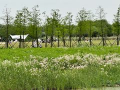 -宁波杭州湾国家湿地公园