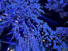 -新高轮格兰王子大酒店