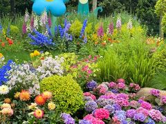 -上海共青森林公园