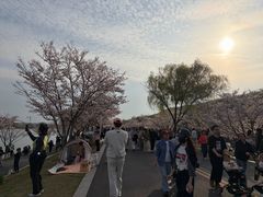 -羊山湖公园