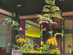 -杏花堂晋商私房菜(华熙五棵松店)