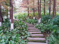 -重庆彩云湖湿地公园