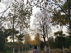 -滨湖塘西河公园