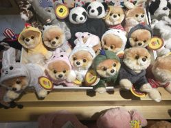 -Nuzzle(静安大悦城店)