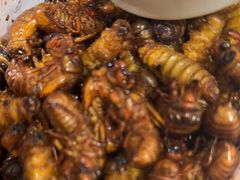 -映像威海·海鲜味道(经区店)