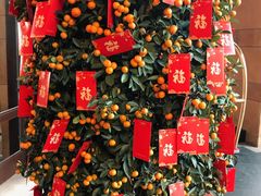 -三亚湾海居铂尔曼度假酒店