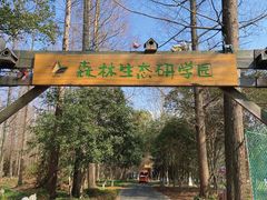 -东平国家森林公园