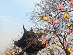 -奇芳阁·百年清真南京菜(夫子庙店)