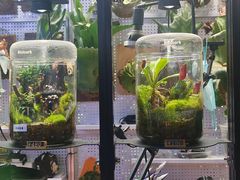 -Bioloark生物方舟生态礼品店