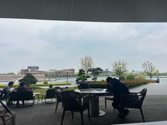 -东方美谷JW万豪酒店·The lounge大堂吧