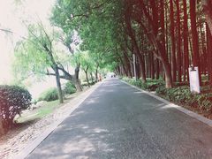 -临家闽南菜(翔安店)