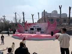 -桃花堤公园