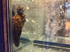 -桂马·日本料理·海胆·海鲜饭·酒场(民主广场店)