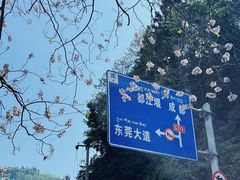 -四川汶川特大地震漩口中学遗址