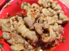 -季季红火锅(动壹店)