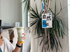 -Blueglass酸奶(上生新所店)
