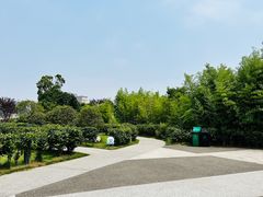 -湖南广电中心大楼