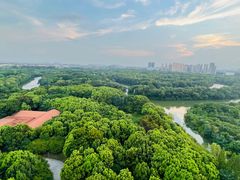 -淹城春秋乐园