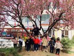-伊顿幼儿园(济南大地锐城校区)