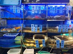 水产区-沈家门小海鲜