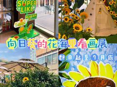 -中海环宇荟