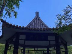 -大屏嶂森林公园