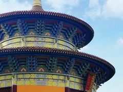 -铁山坪森林公园