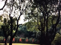 -上海交通大学医学院附属瑞金医院(总院)