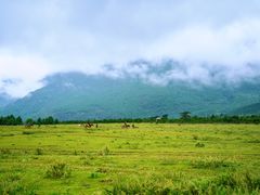 -玉湖村