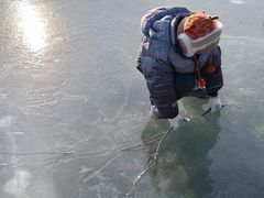 -长春市南湖公园