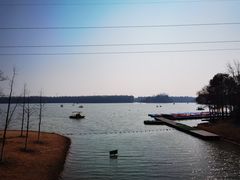 -上海海湾国家森林公园